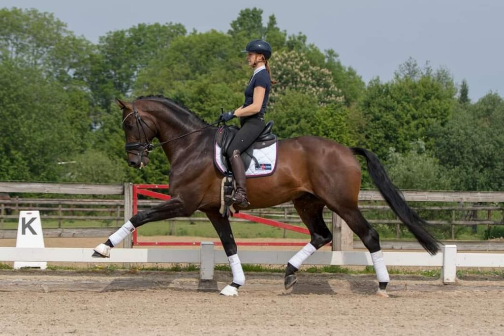 Lid Floor van Kempen